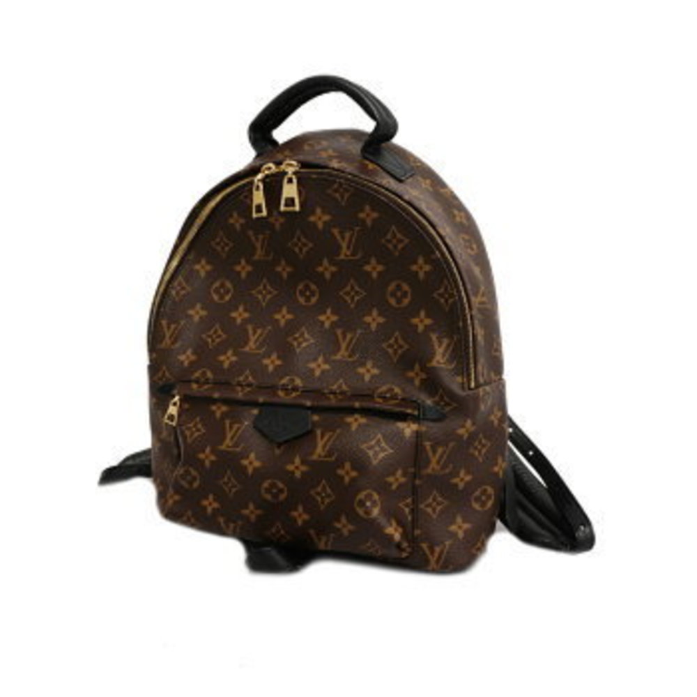 Louis Vuitton Monogram Palm Springs MM Backpack